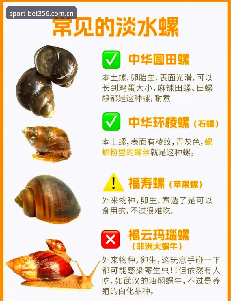 bet356体育安全吗攻略 5个关键步骤教你判断bet356体育安全吗攻略,新手必看3大注意事项